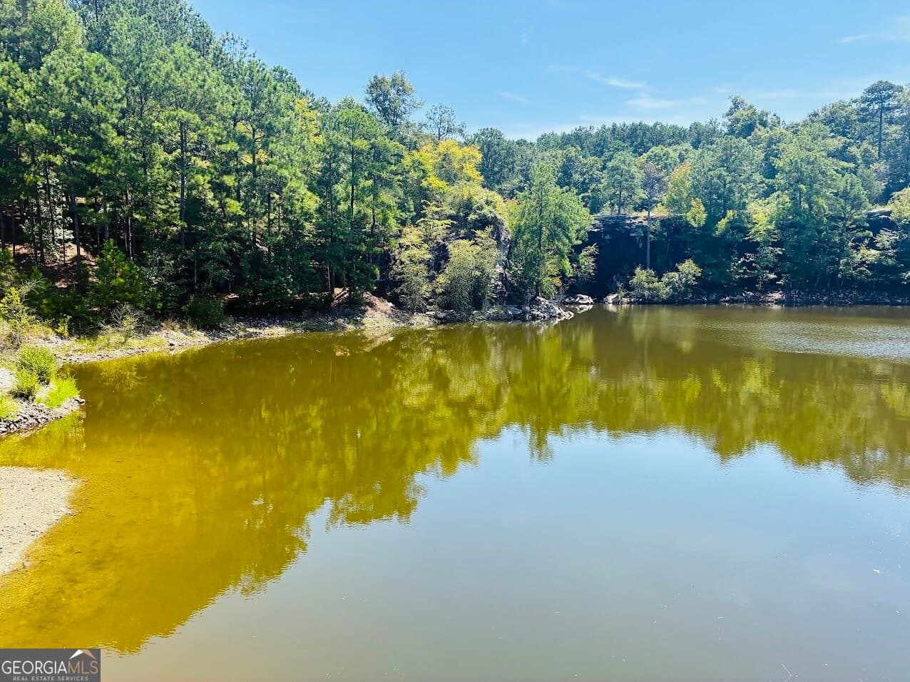 agriculture for sale at 3889 Greenville Road, Lagrange, GA 30241 — photo 7