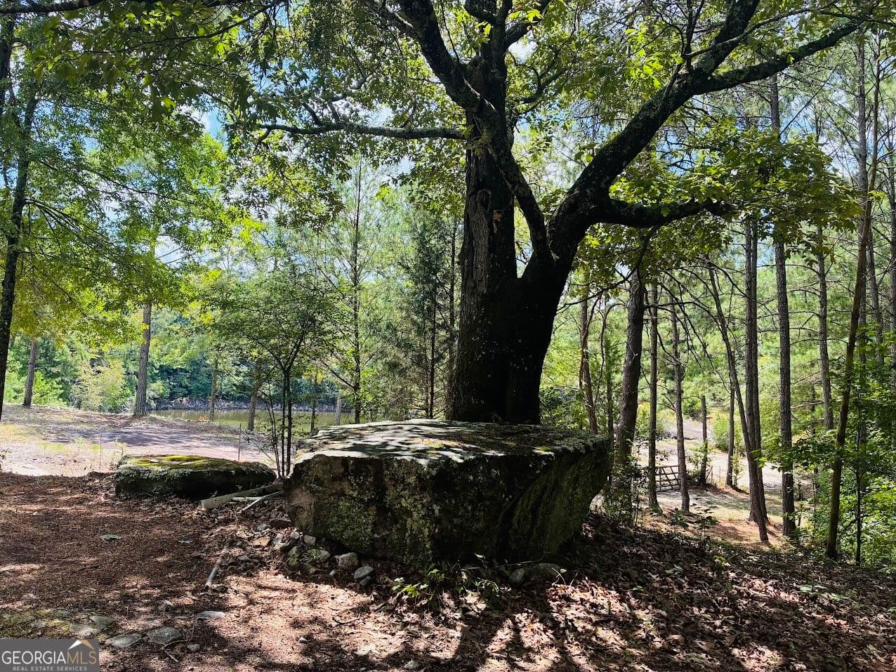 agriculture for sale at 3889 Greenville Road, Lagrange, GA 30241 — photo 3