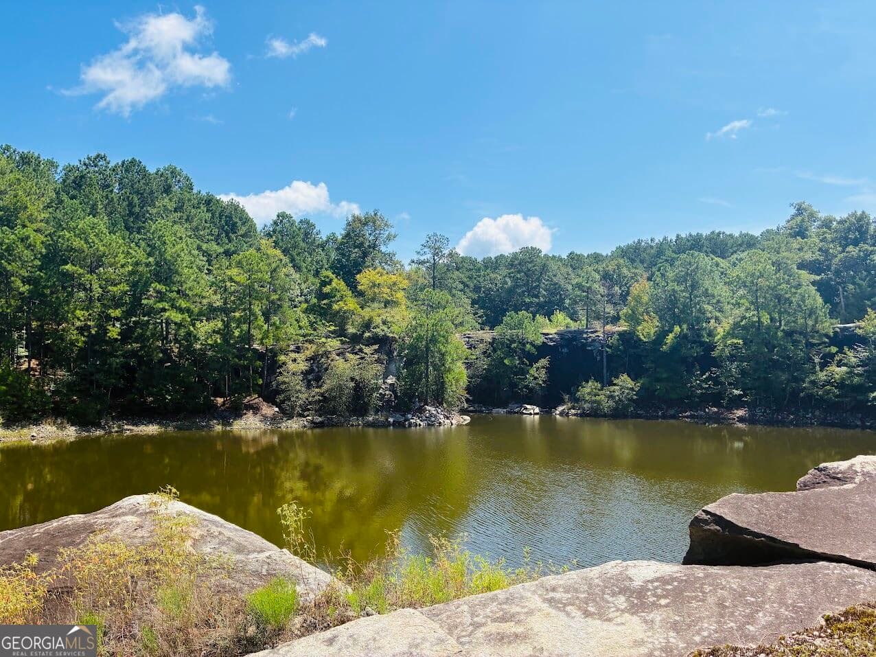 agriculture for sale at 3889 Greenville Road, Lagrange, GA 30241 — photo 10