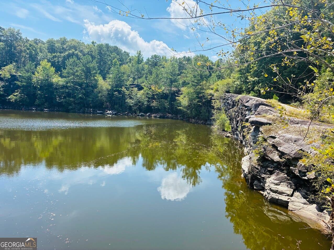 agriculture for sale at 3889 Greenville Road, Lagrange, GA 30241 — photo 8