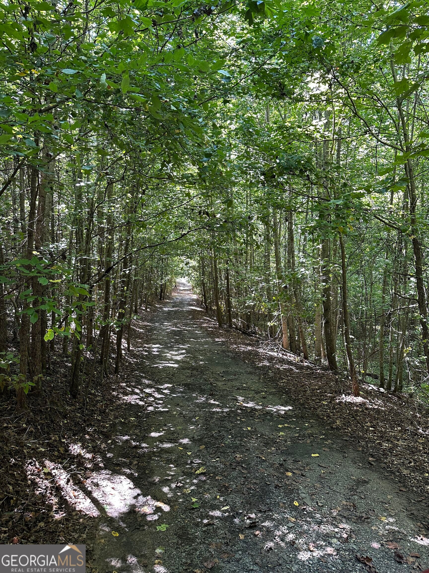 agriculture for sale at 305 Wildcat Road, Buchanan, GA 30113 — photo 2