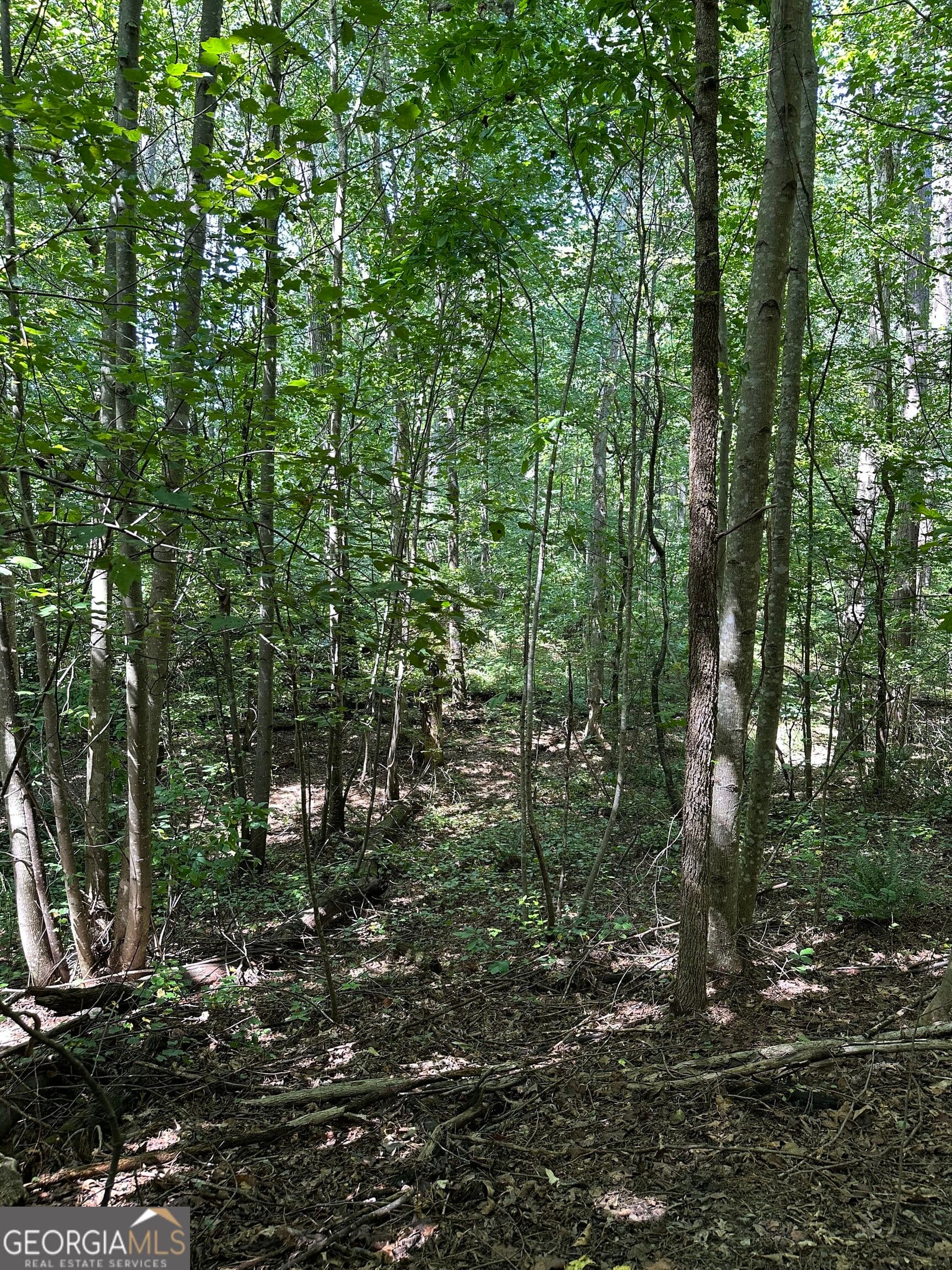 agriculture for sale at 305 Wildcat Road, Buchanan, GA 30113 — photo 6