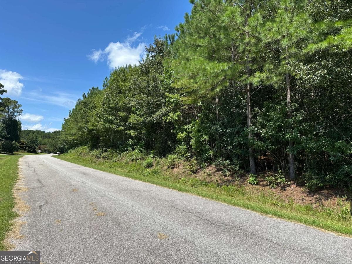 agriculture for sale at 305 Wildcat Road, Buchanan, GA 30113 — photo 3