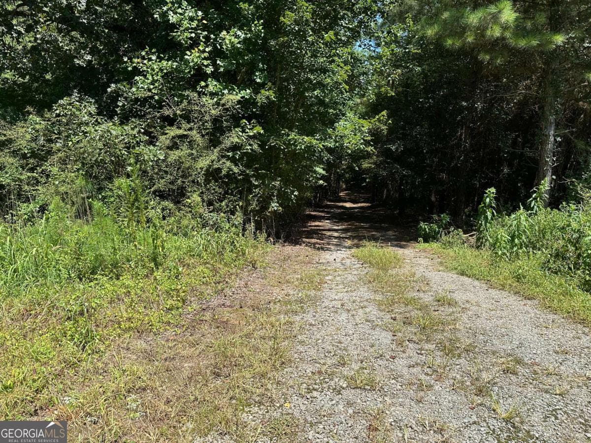 agriculture for sale at 305 Wildcat Road, Buchanan, GA 30113 — photo 1 of 9
