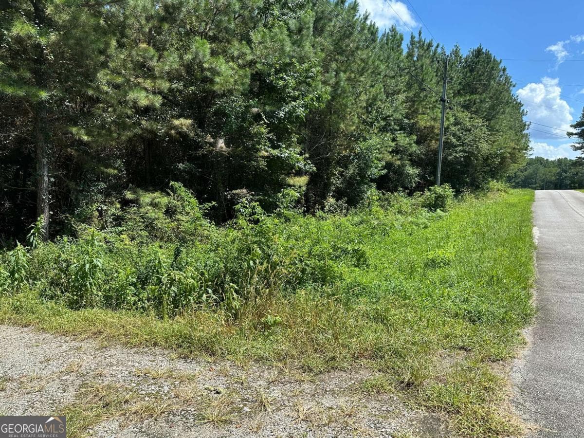 agriculture for sale at 305 Wildcat Road, Buchanan, GA 30113 — photo 5