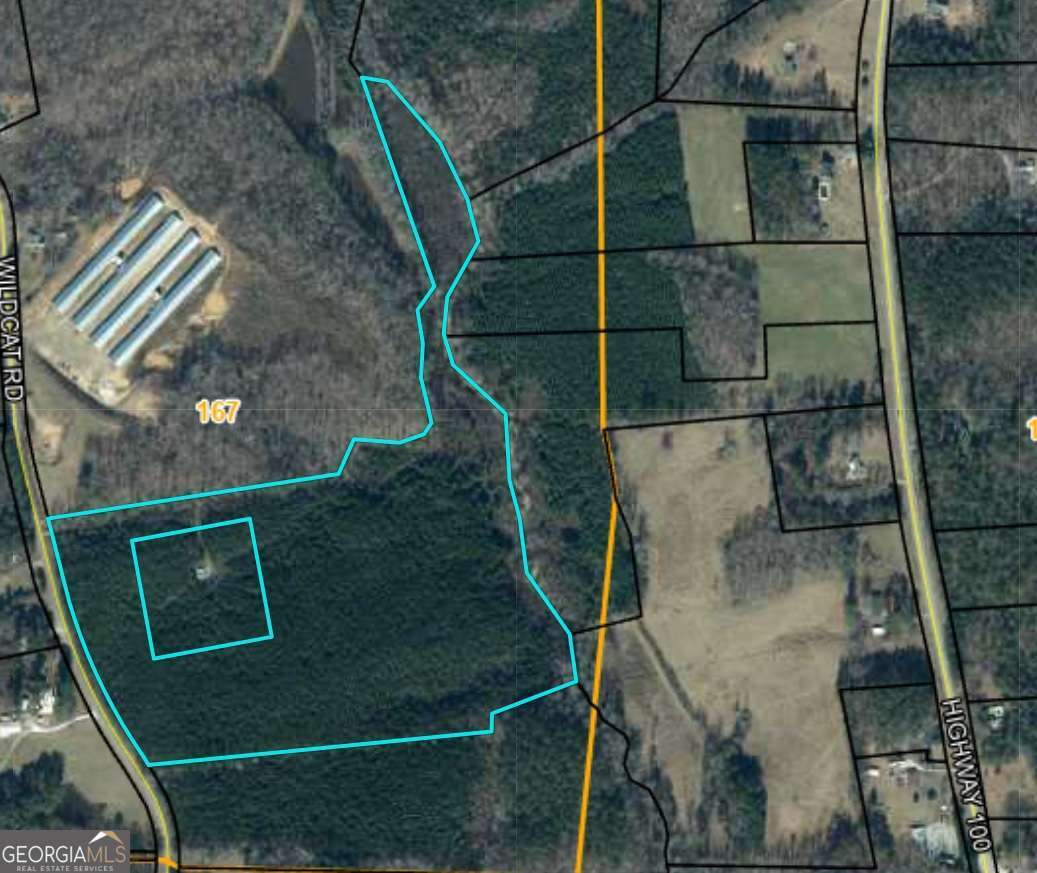 agriculture for sale at 305 Wildcat Road, Buchanan, GA 30113 — photo 9