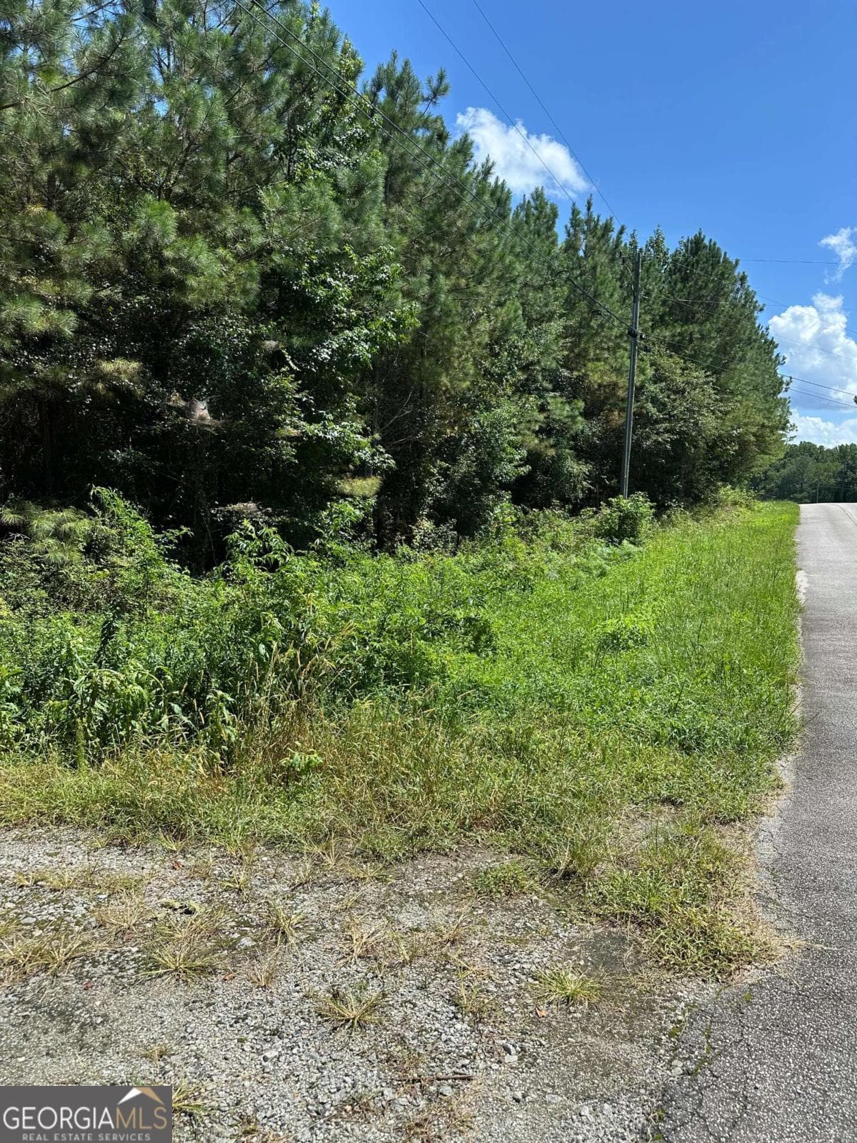 agriculture for sale at 305 Wildcat Road, Buchanan, GA 30113 — photo 4