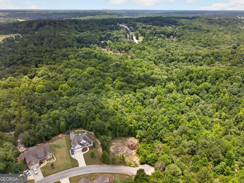residential lot for sale at 4024 Paulette Drive, Monroe, GA 30656 — photo 6