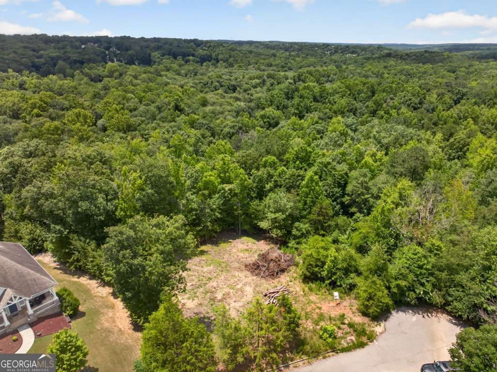 residential lot for sale at 4024 Paulette Drive, Monroe, GA 30656 — photo 10