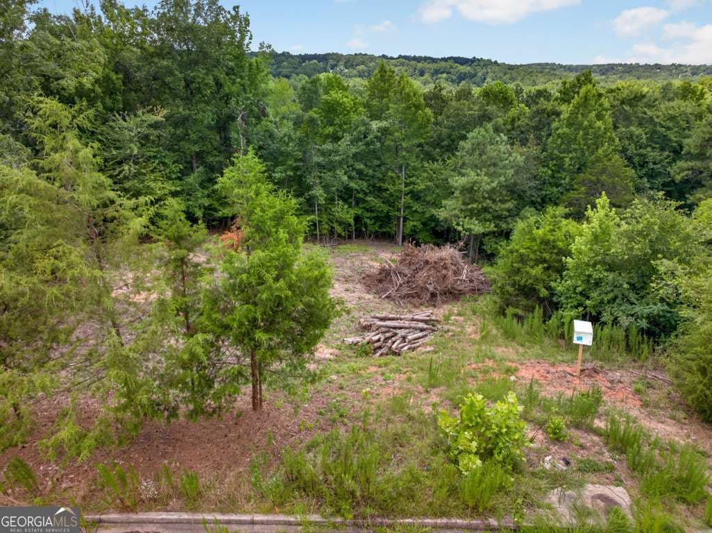 residential lot for sale at 4024 Paulette Drive, Monroe, GA 30656 — photo 4