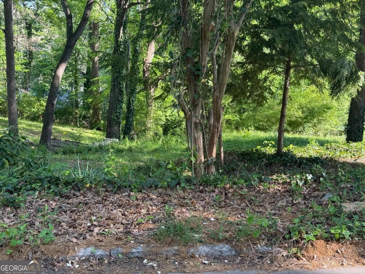 residential lot for sale at 2422 Claude Street, Atlanta, GA 30318 — photo 6