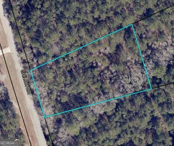 residential lot for sale at 204 Shiloh Drive, Brooklet, GA 30415 — photo 1 of 1