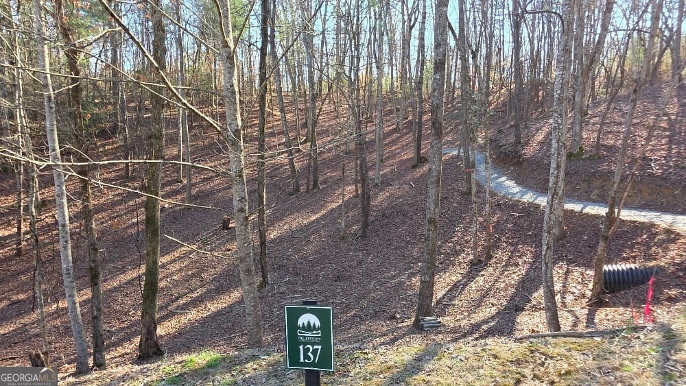 residential lot for sale at 137 Red Oak Trail, East Ellijay, GA 30540 — photo 2