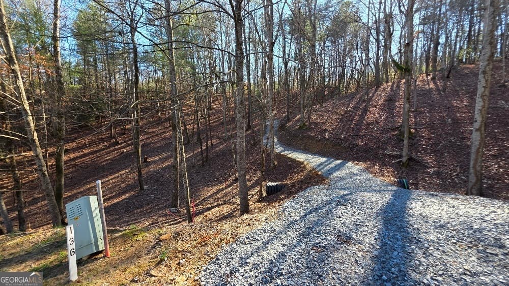 residential lot for sale at 137 Red Oak Trail, East Ellijay, GA 30540 — photo 3