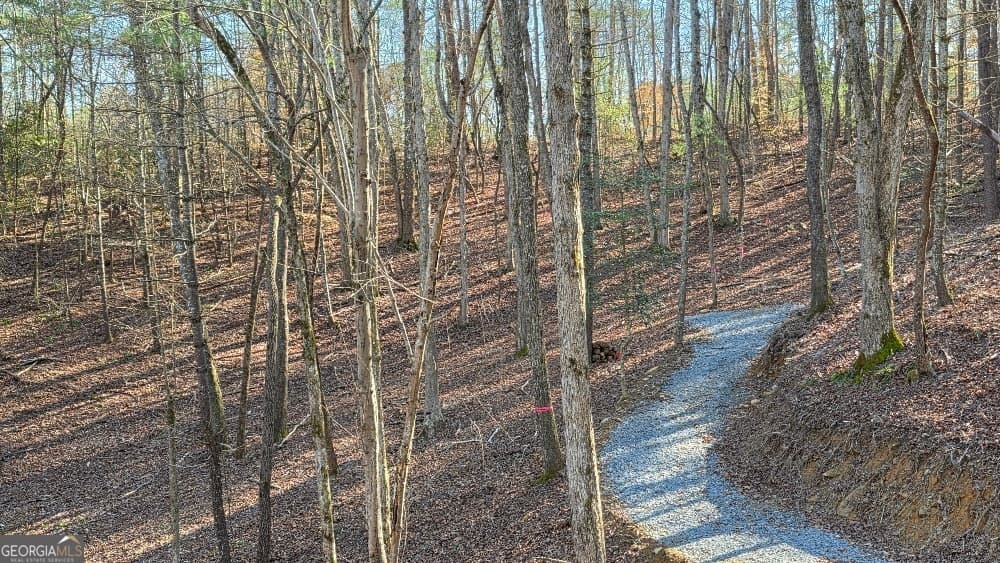 residential lot for sale at 137 Red Oak Trail, East Ellijay, GA 30540 — photo 4