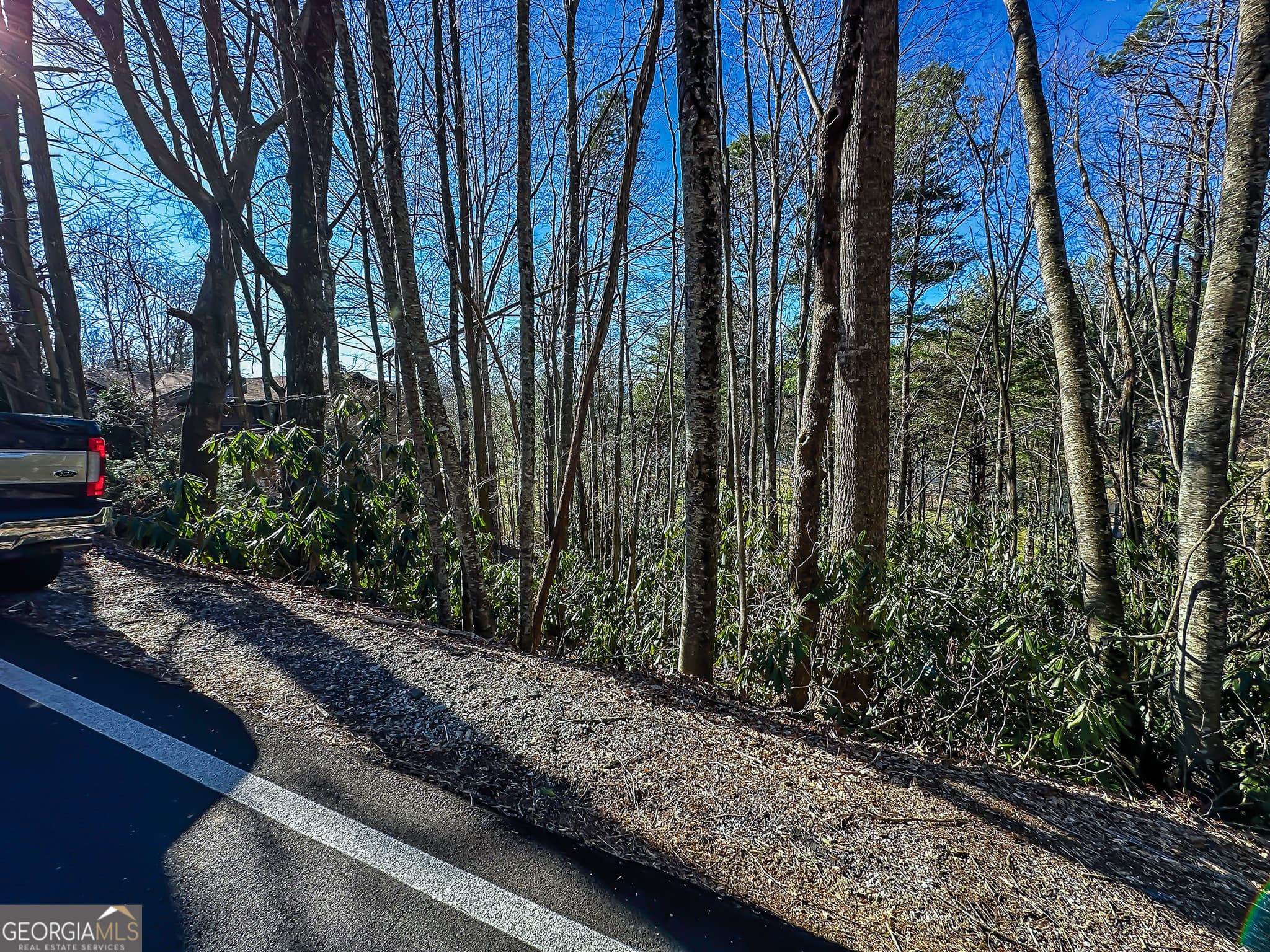 residential lot for sale at LOT 1 Ridgepole Drive, Sky Valley, GA 30537 — photo 7