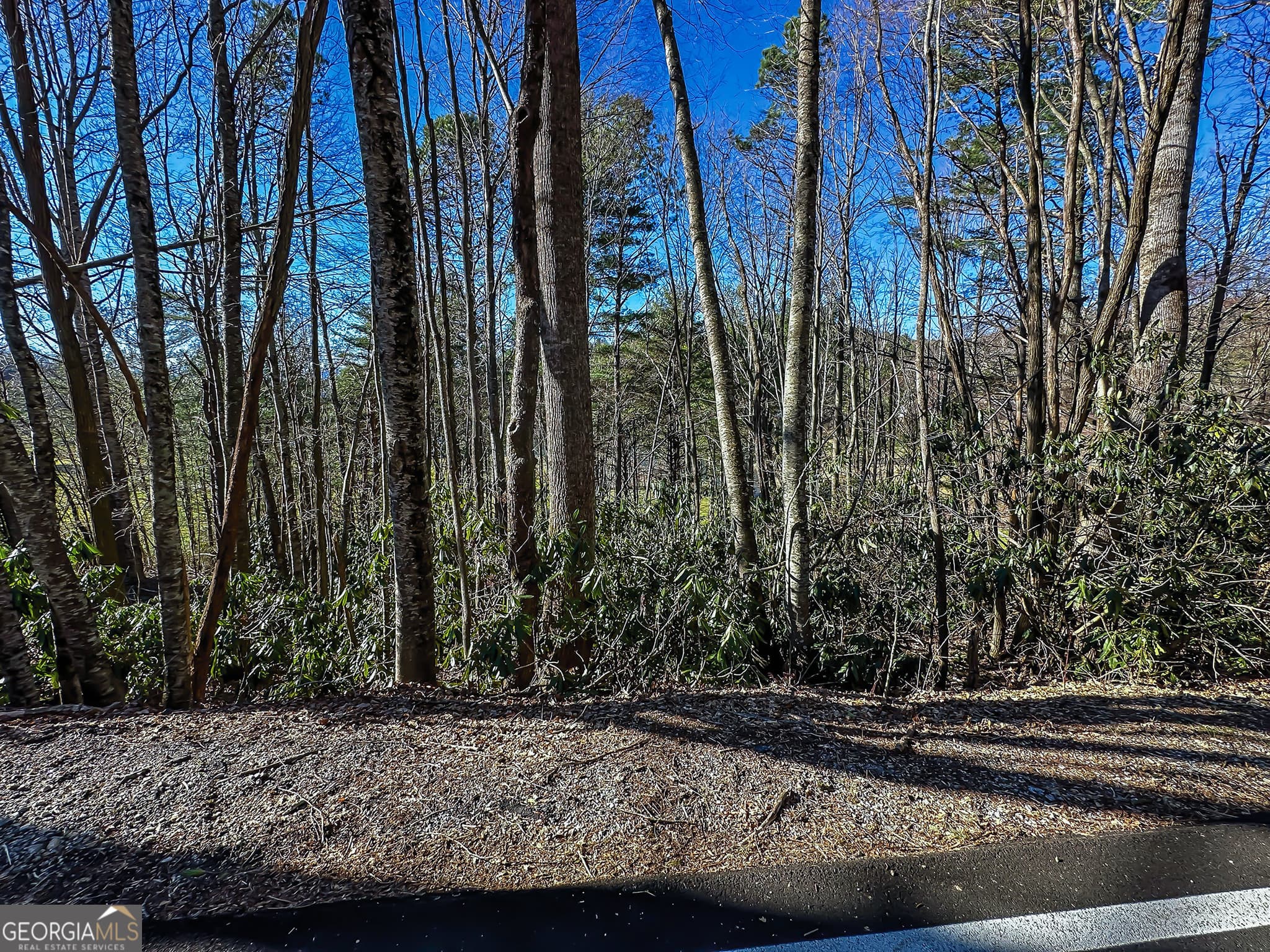 residential lot for sale at LOT 1 Ridgepole Drive, Sky Valley, GA 30537 — photo 9