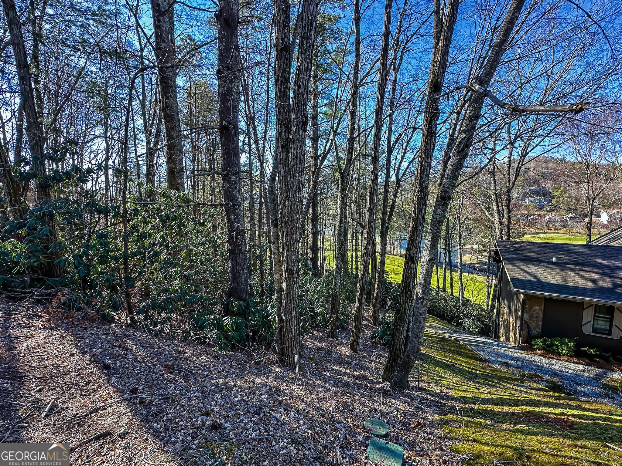 residential lot for sale at LOT 1 Ridgepole Drive, Sky Valley, GA 30537 — photo 10