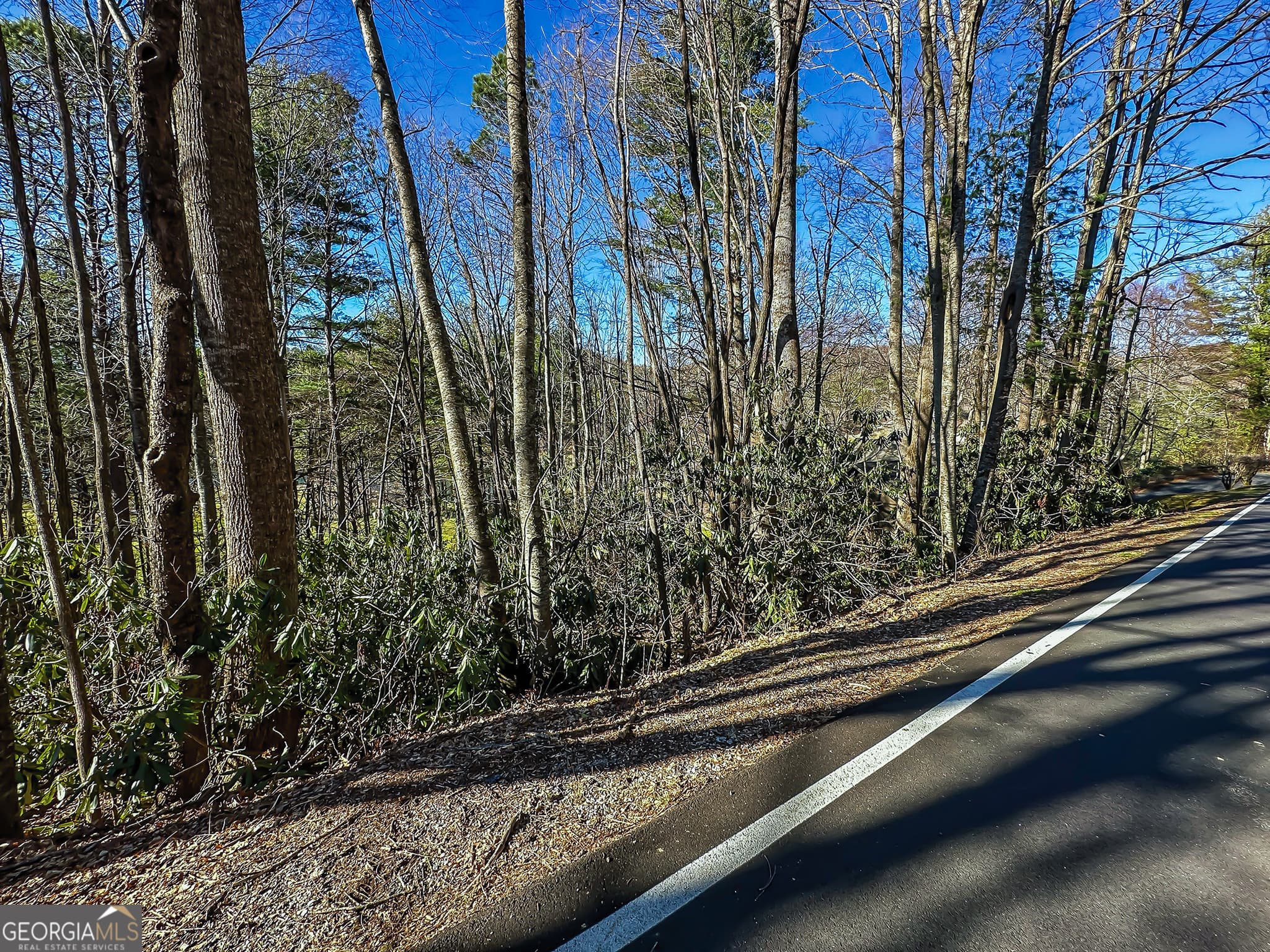 residential lot for sale at LOT 1 Ridgepole Drive, Sky Valley, GA 30537 — photo 8