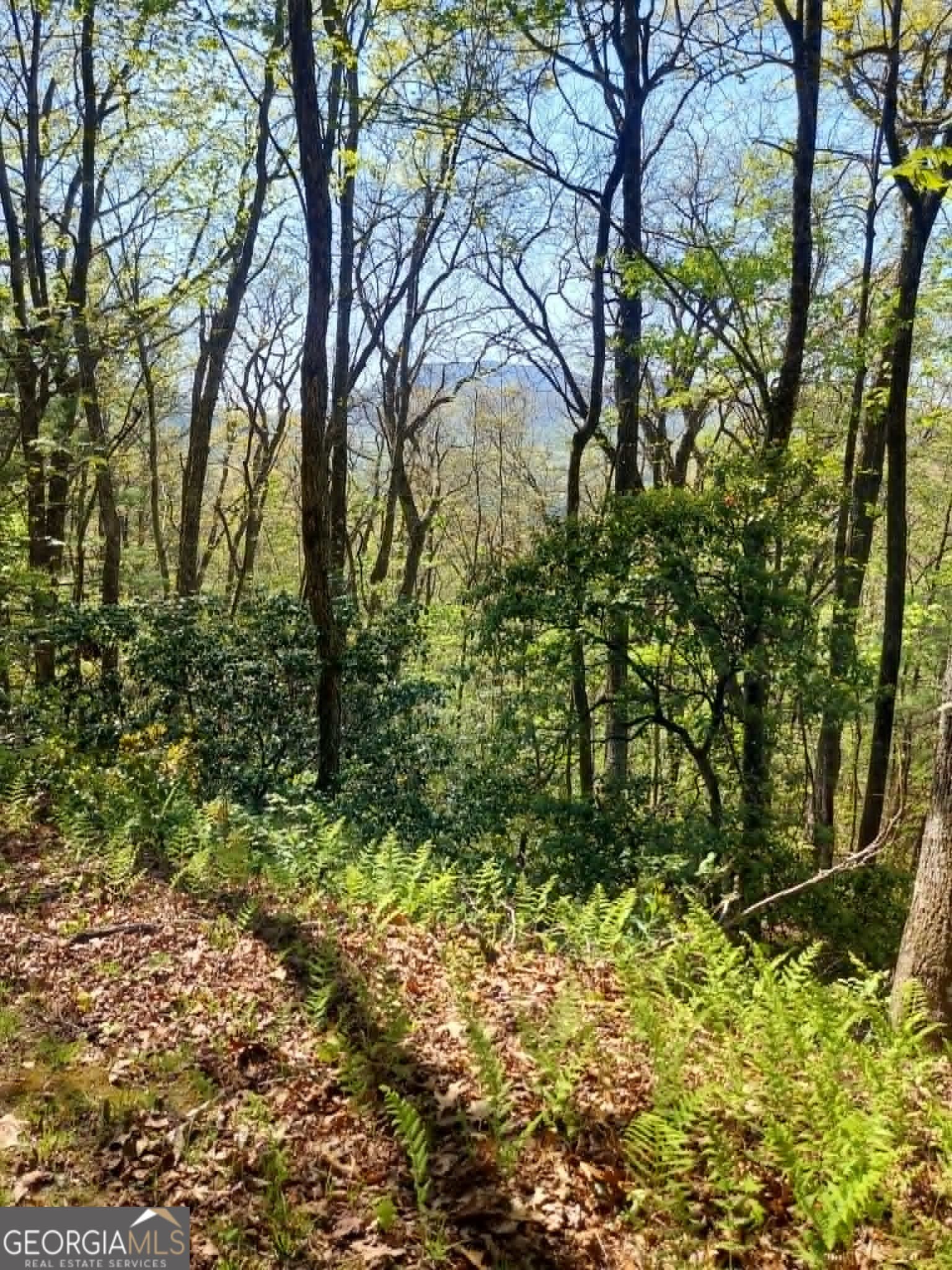 residential lot for sale at 0 LOT 40 Pipetrack Gap Road, Scaly Mtn, NC 28775 — photo 2