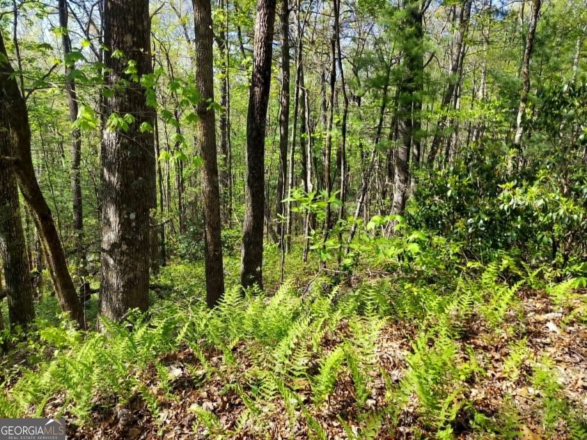 residential lot for sale at 0 LOT 40 Pipetrack Gap Road, Scaly Mtn, NC 28775 — photo 6