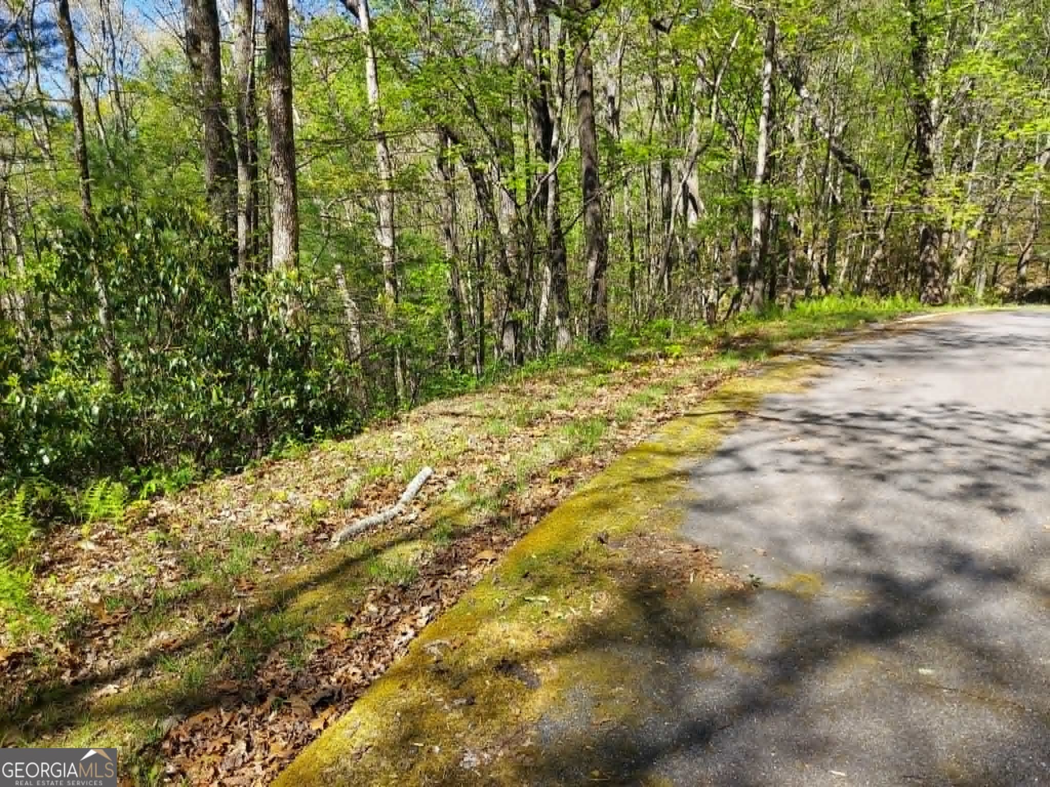 residential lot for sale at 0 LOT 40 Pipetrack Gap Road, Scaly Mtn, NC 28775 — photo 7