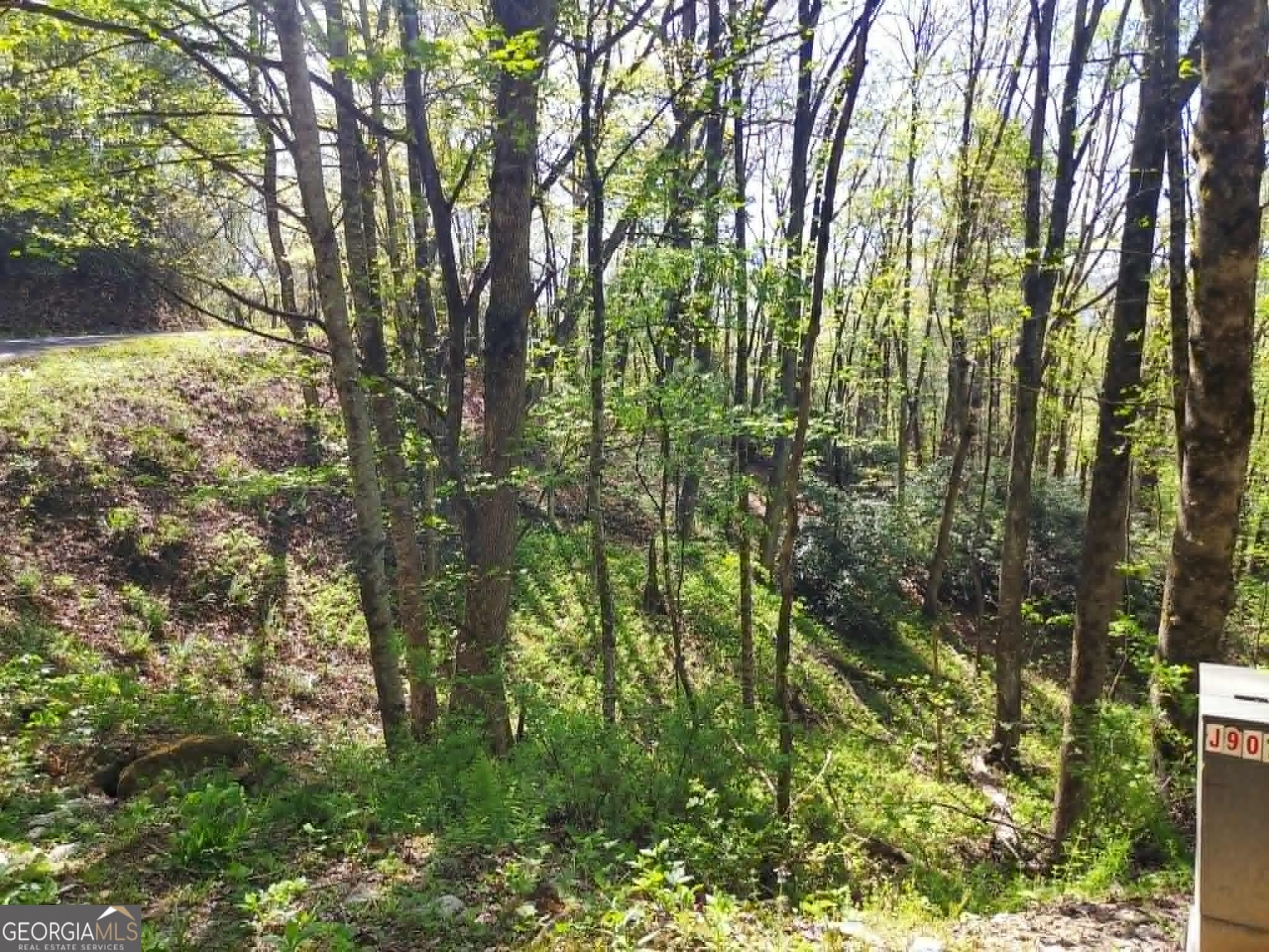 residential lot for sale at 0 LOT 40 Pipetrack Gap Road, Scaly Mtn, NC 28775 — photo 3