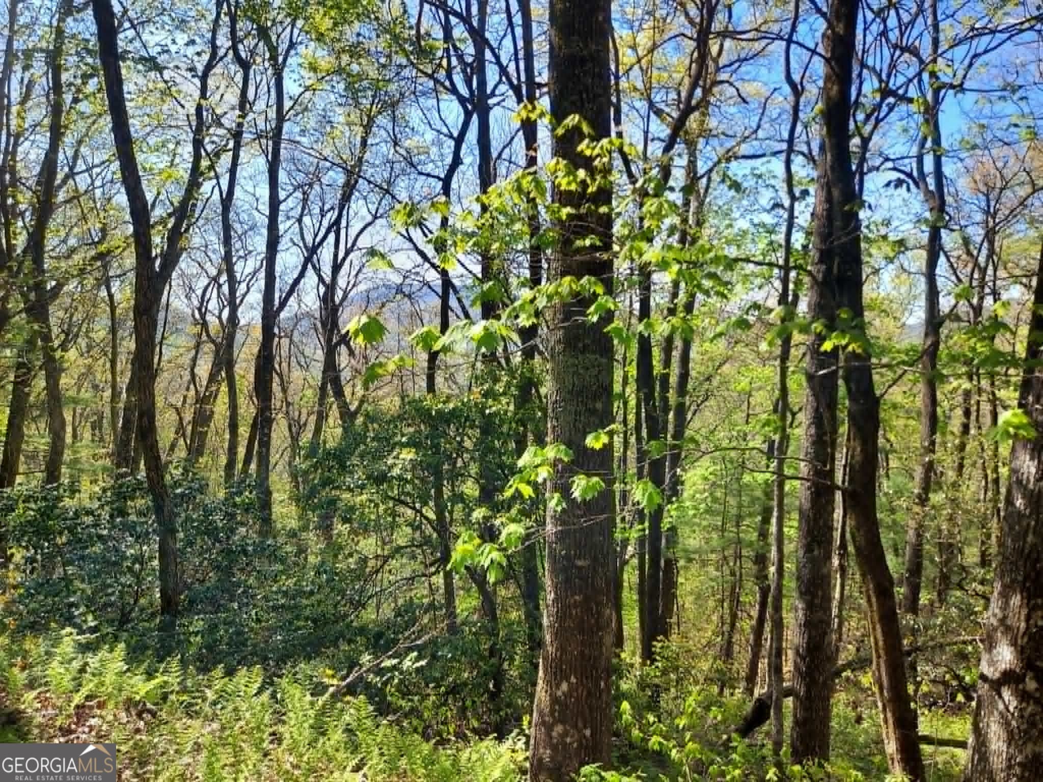 residential lot for sale at 0 LOT 40 Pipetrack Gap Road, Scaly Mtn, NC 28775