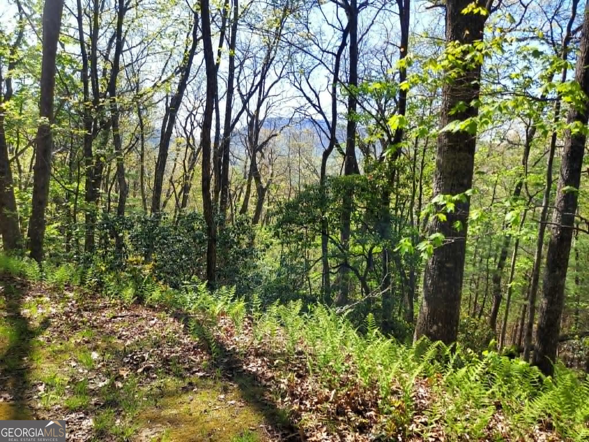 residential lot for sale at 0 LOT 40 Pipetrack Gap Road, Scaly Mtn, NC 28775 — photo 5