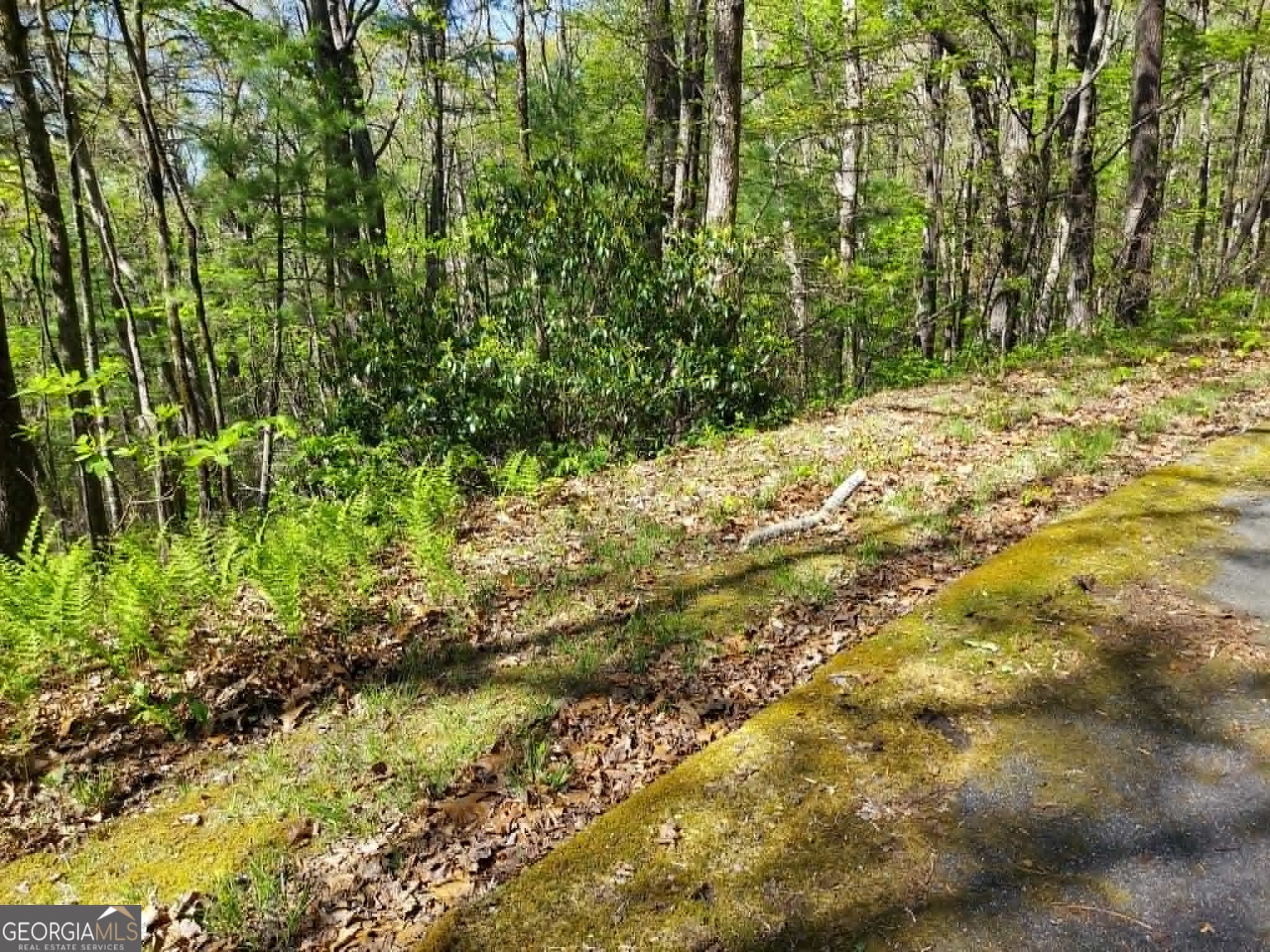 residential lot for sale at 0 LOT 40 Pipetrack Gap Road, Scaly Mtn, NC 28775 — photo 9