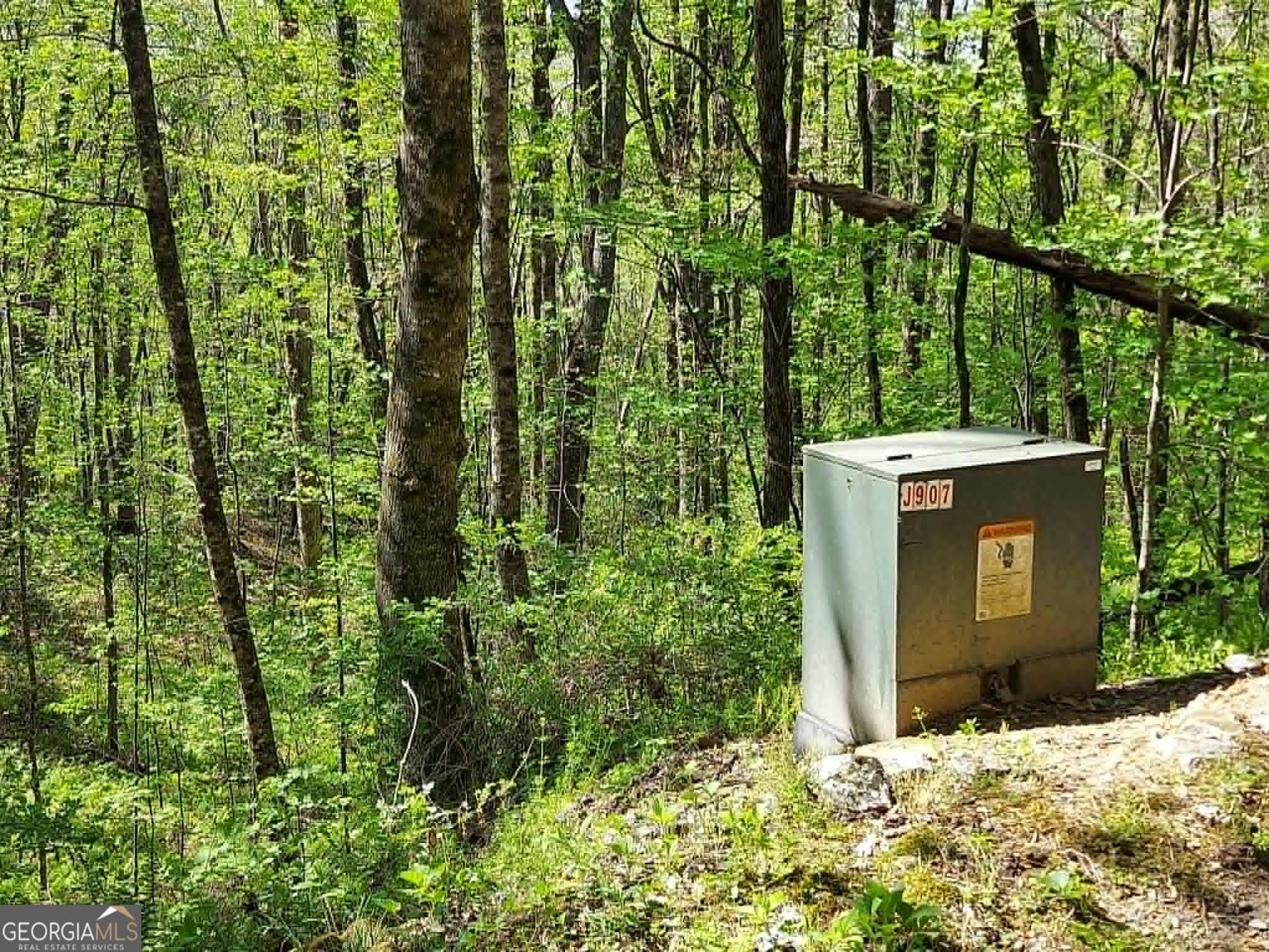 residential lot for sale at 0 LOT 40 Pipetrack Gap Road, Scaly Mtn, NC 28775 — photo 10