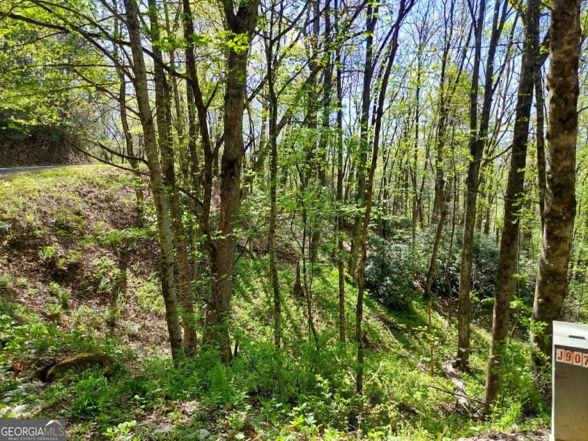 residential lot for sale at 0 LOT 40 Pipetrack Gap Road, Scaly Mtn, NC 28775 — photo 4