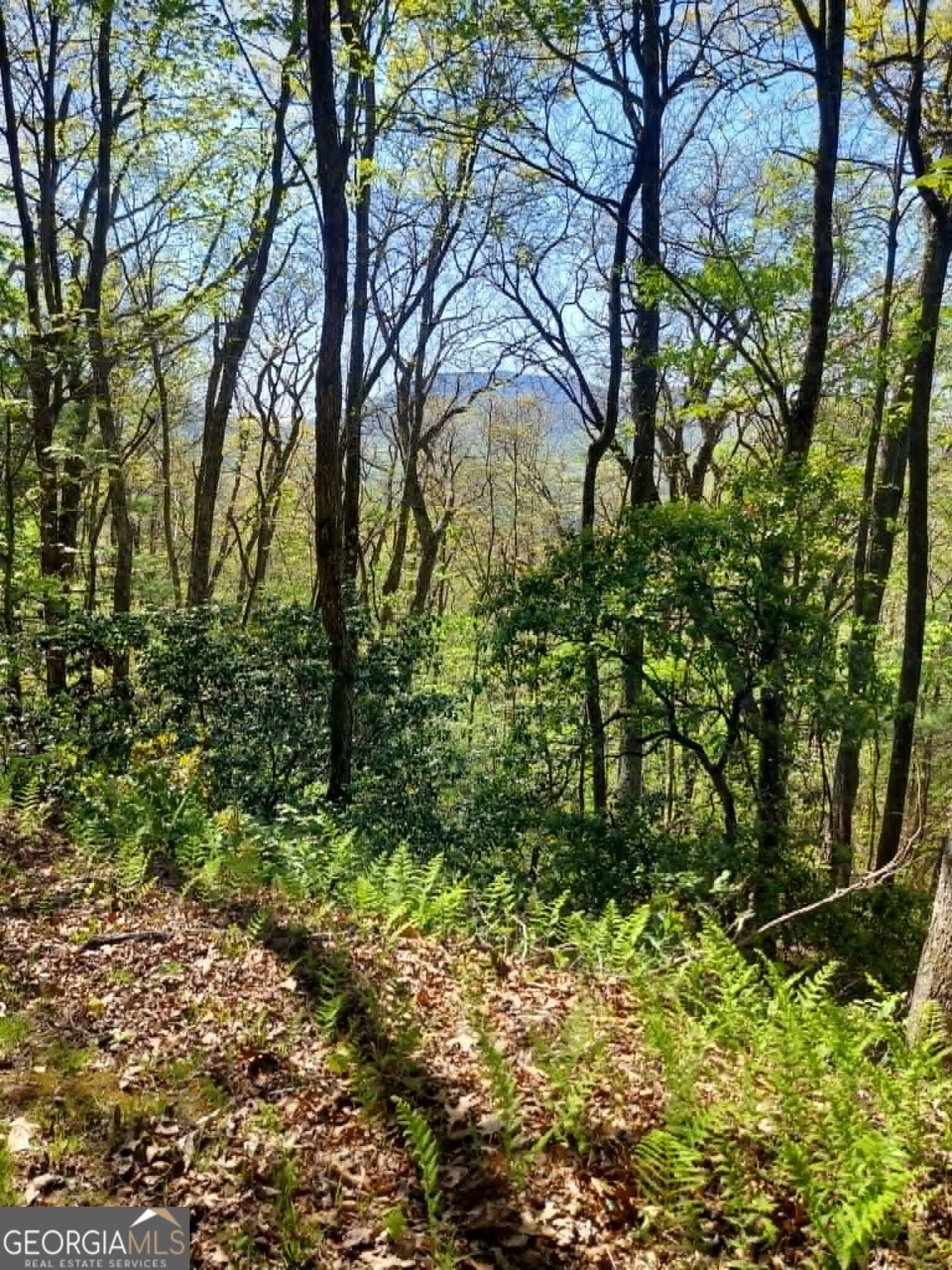 residential lot for sale at 0 LOT 40 Pipetrack Gap Road, Scaly Mtn, NC 28775 — photo 8