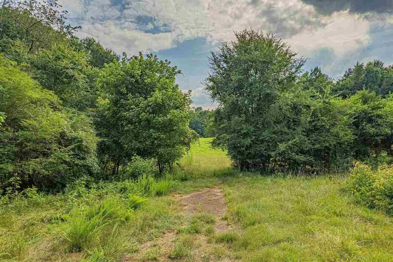 agriculture for sale at 0 Hunters Glen, Maysville, GA 30558 — photo 9