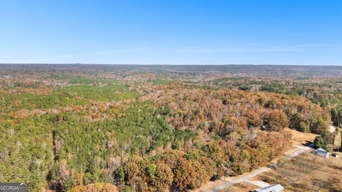 unimproved land for sale at 0 Cross Plains Road, Carrollton, GA 30116 — photo 2