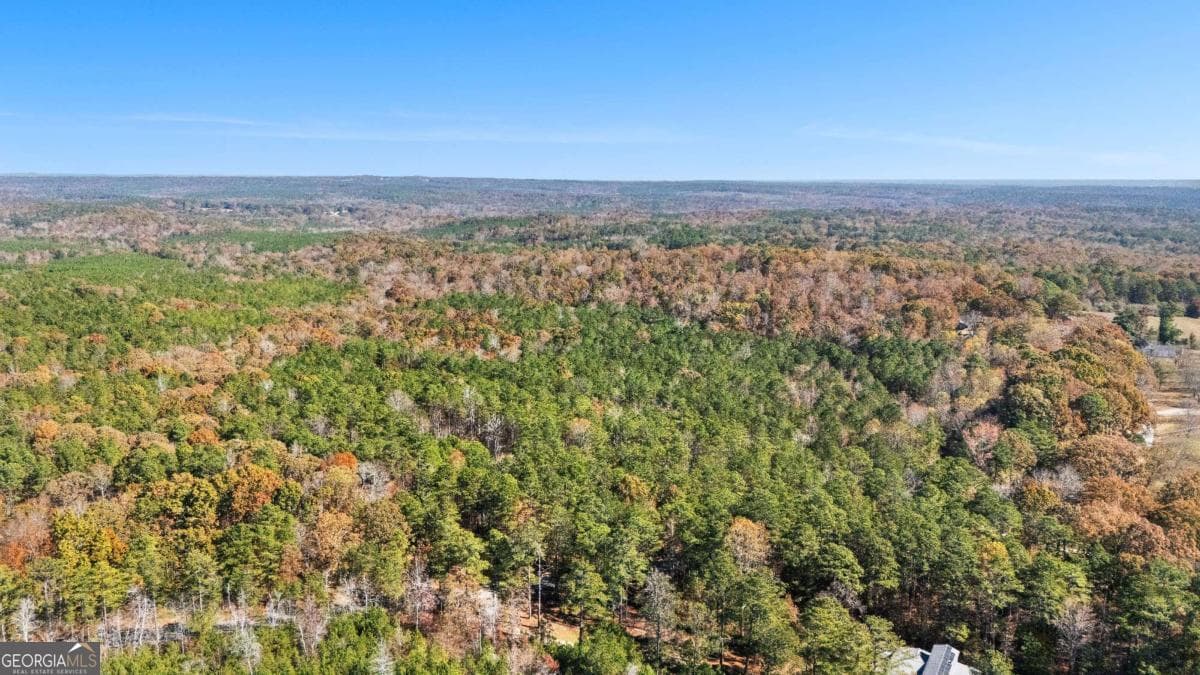 unimproved land for sale at 0 Cross Plains Road, Carrollton, GA 30116 — photo 6