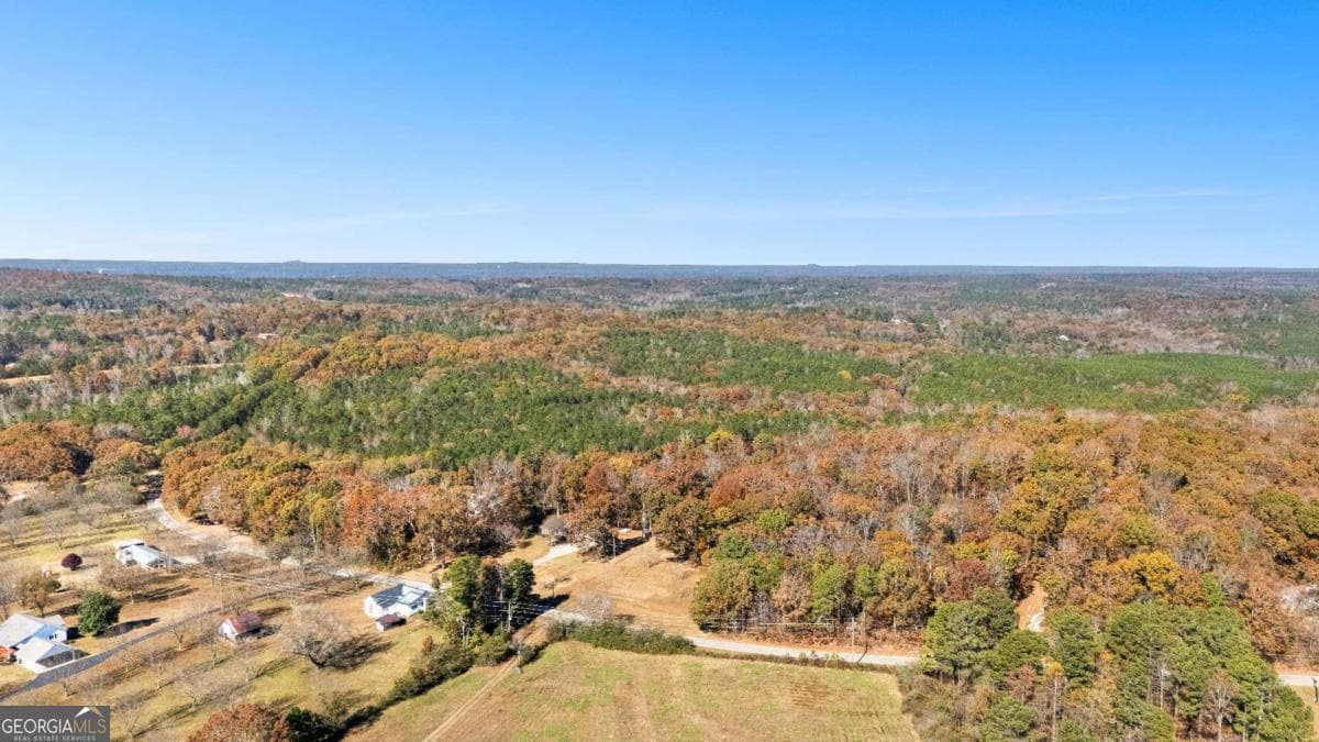 unimproved land for sale at 0 Cross Plains Road, Carrollton, GA 30116 — photo 3