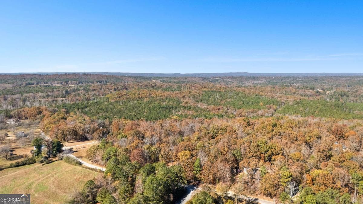 unimproved land for sale at 0 Cross Plains Road, Carrollton, GA 30116 — photo 4