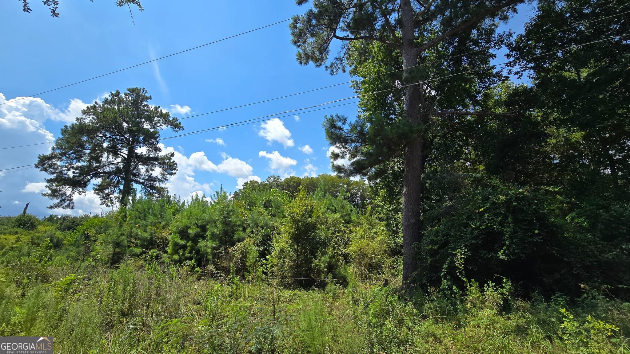 residential lot for sale at 7161 Molton Road, Macon, GA 31216 — photo 2