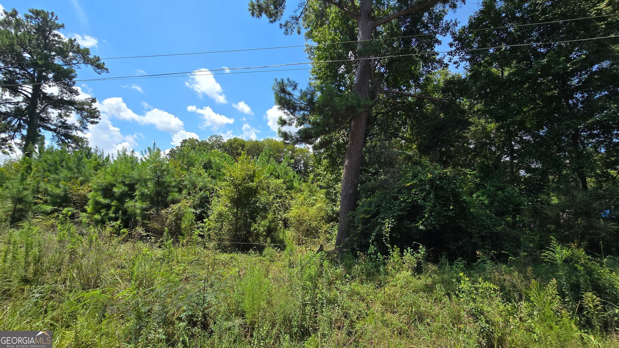 residential lot for sale at 7161 Molton Road, Macon, GA 31216 — photo 3
