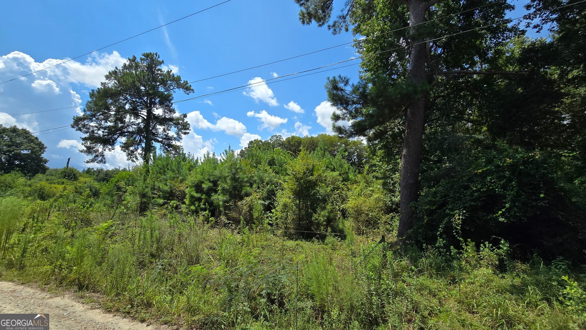 residential lot for sale at 7161 Molton Road, Macon, GA 31216 — photo 1 of 5