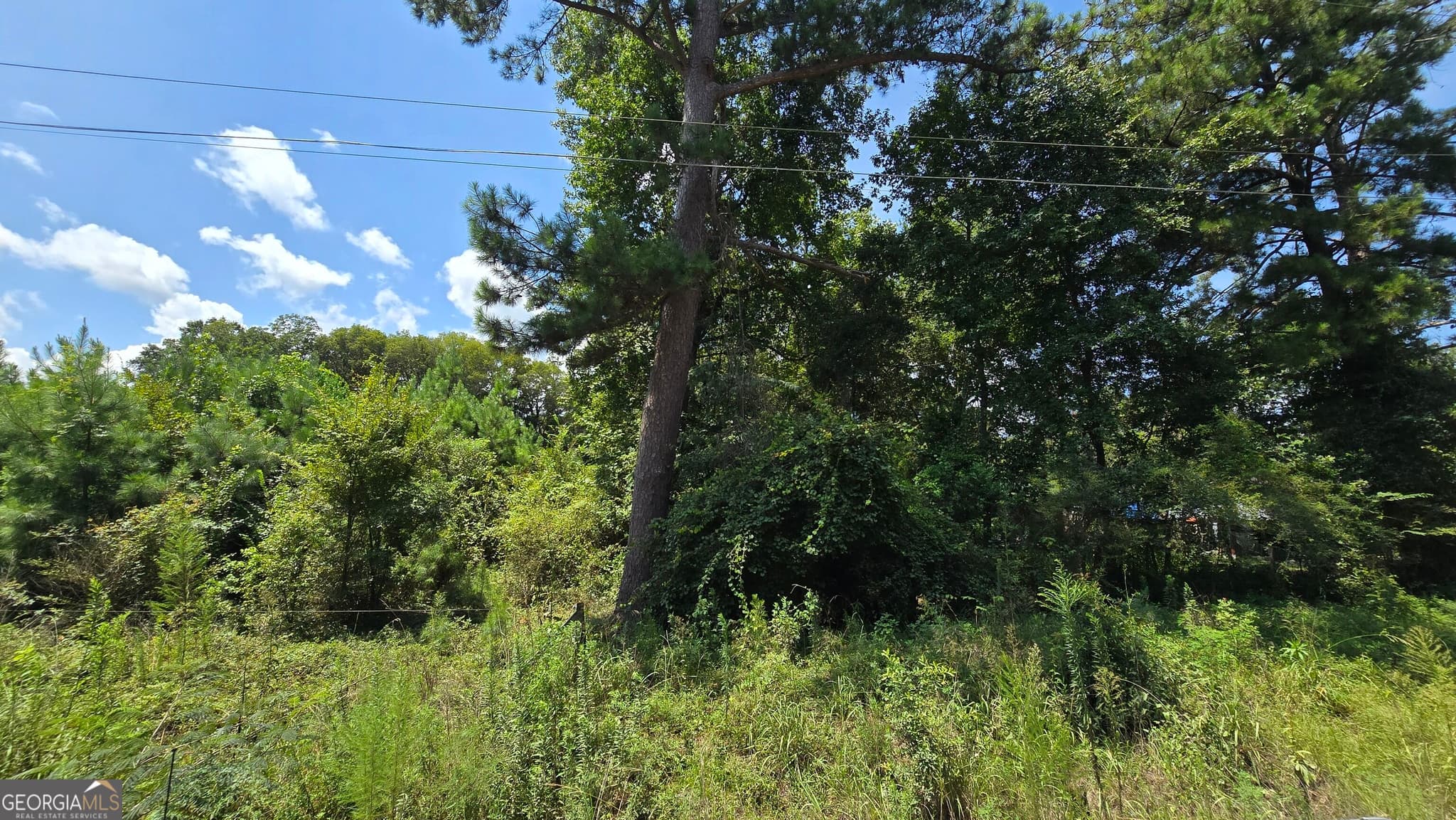 residential lot for sale at 7161 Molton Road, Macon, GA 31216 — photo 4