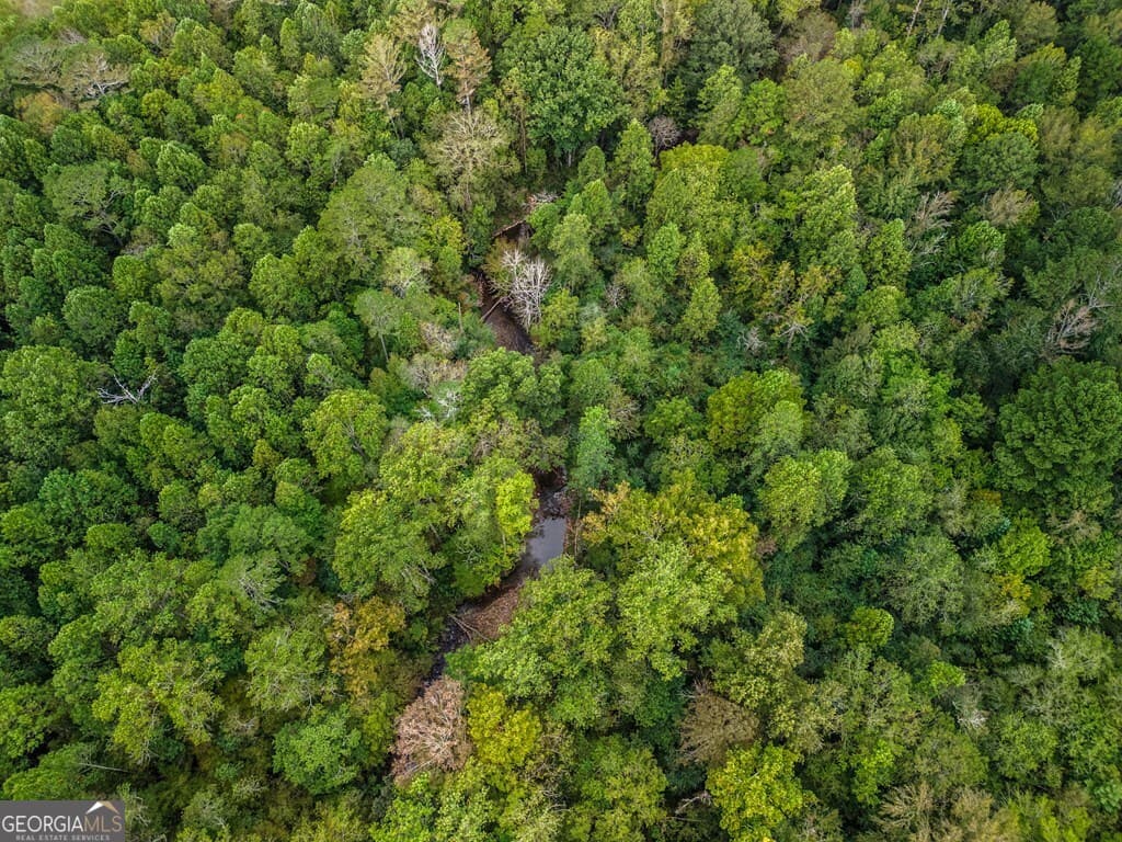 residential lot for sale at 2.43AC Old Northcutt Road, Ellijay, GA 30540 — photo 7