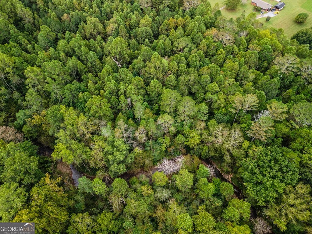 residential lot for sale at 2.43AC Old Northcutt Road, Ellijay, GA 30540 — photo 9