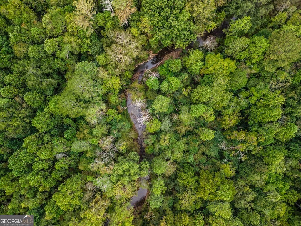 residential lot for sale at 2.43AC Old Northcutt Road, Ellijay, GA 30540 — photo 8