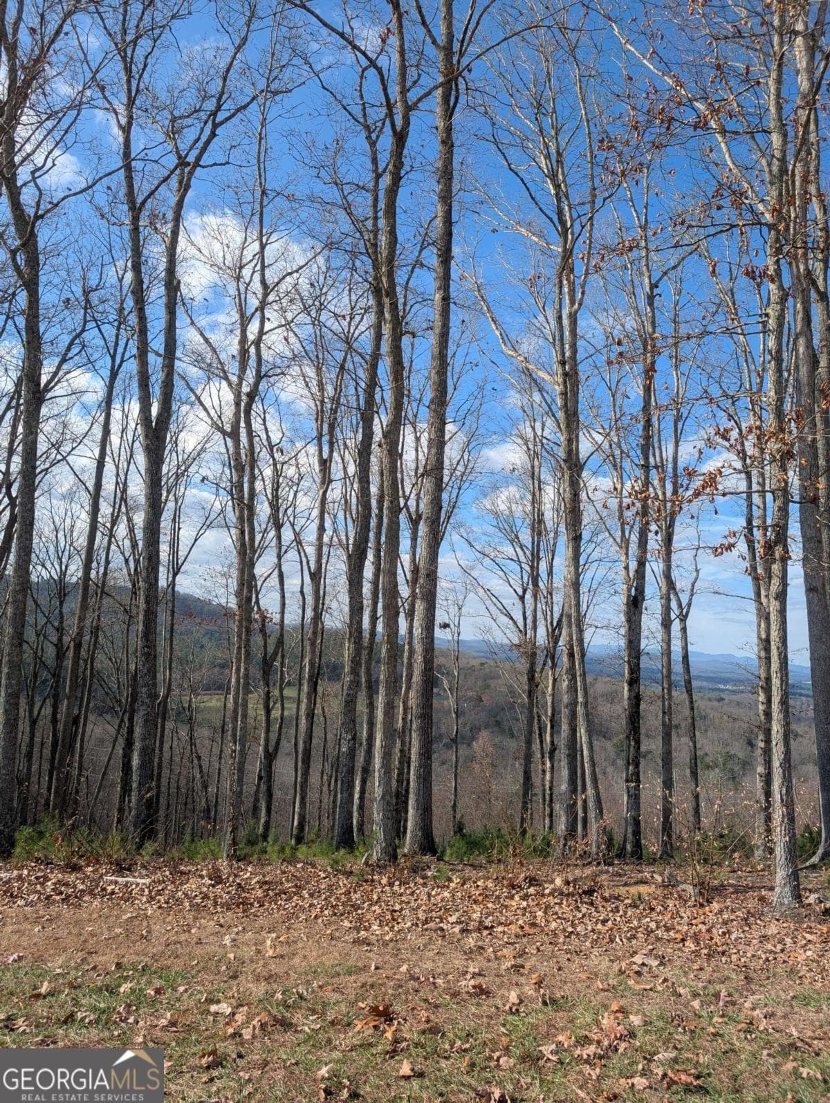residential lot for sale at LOT 91 Winding Ridge, Blairsville, GA 30512 — photo 2