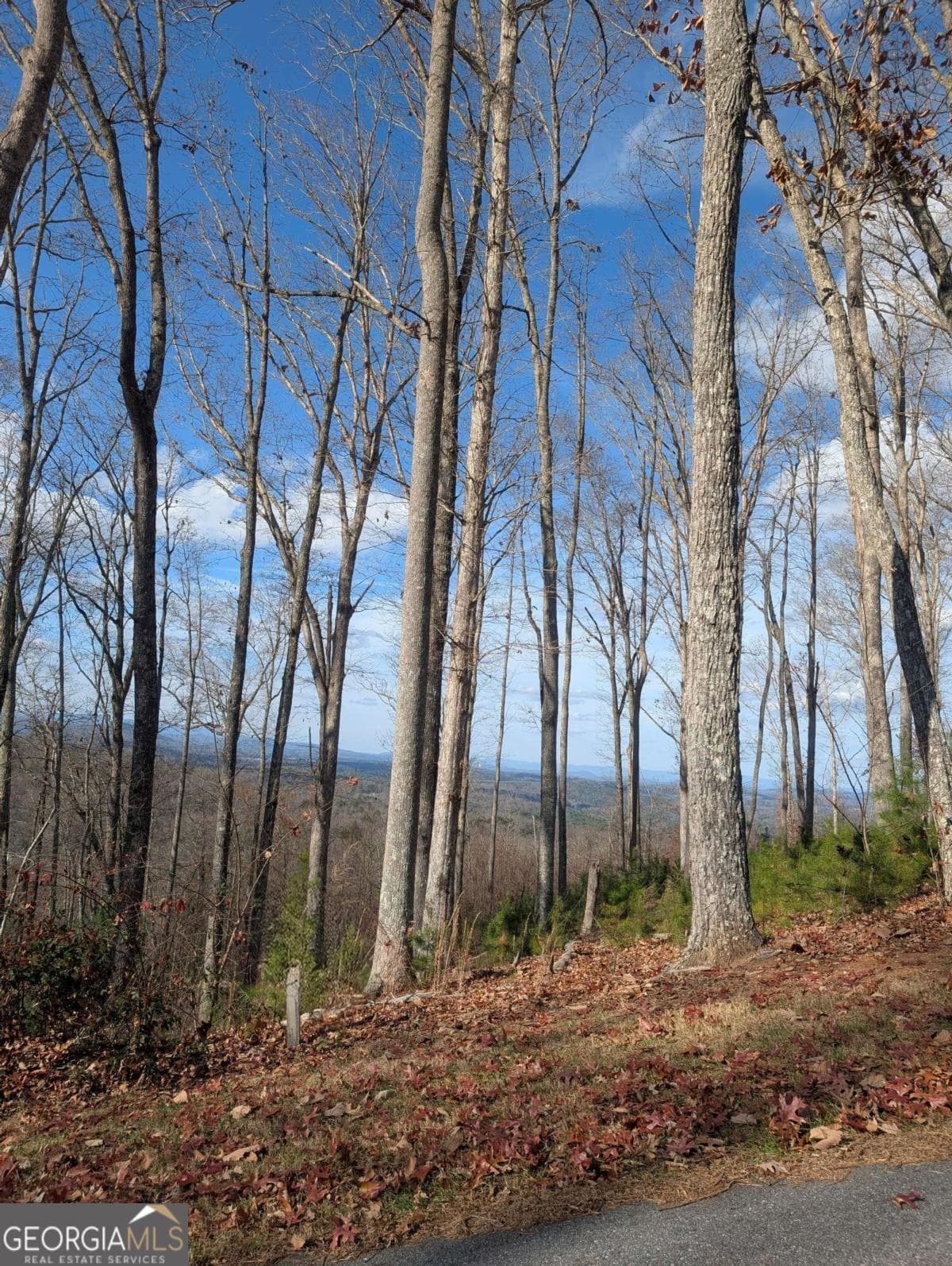 residential lot for sale at LOT 91 Winding Ridge, Blairsville, GA 30512 — photo 1 of 22