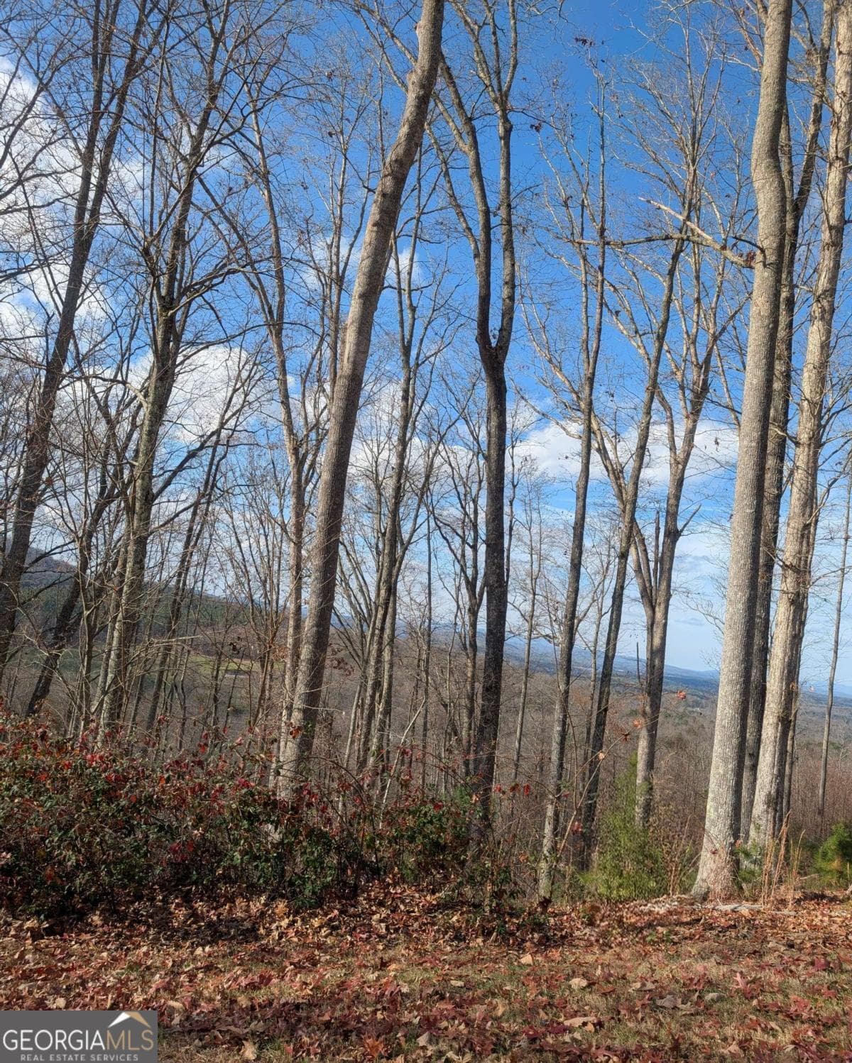 residential lot for sale at LOT 91 Winding Ridge, Blairsville, GA 30512 — photo 9