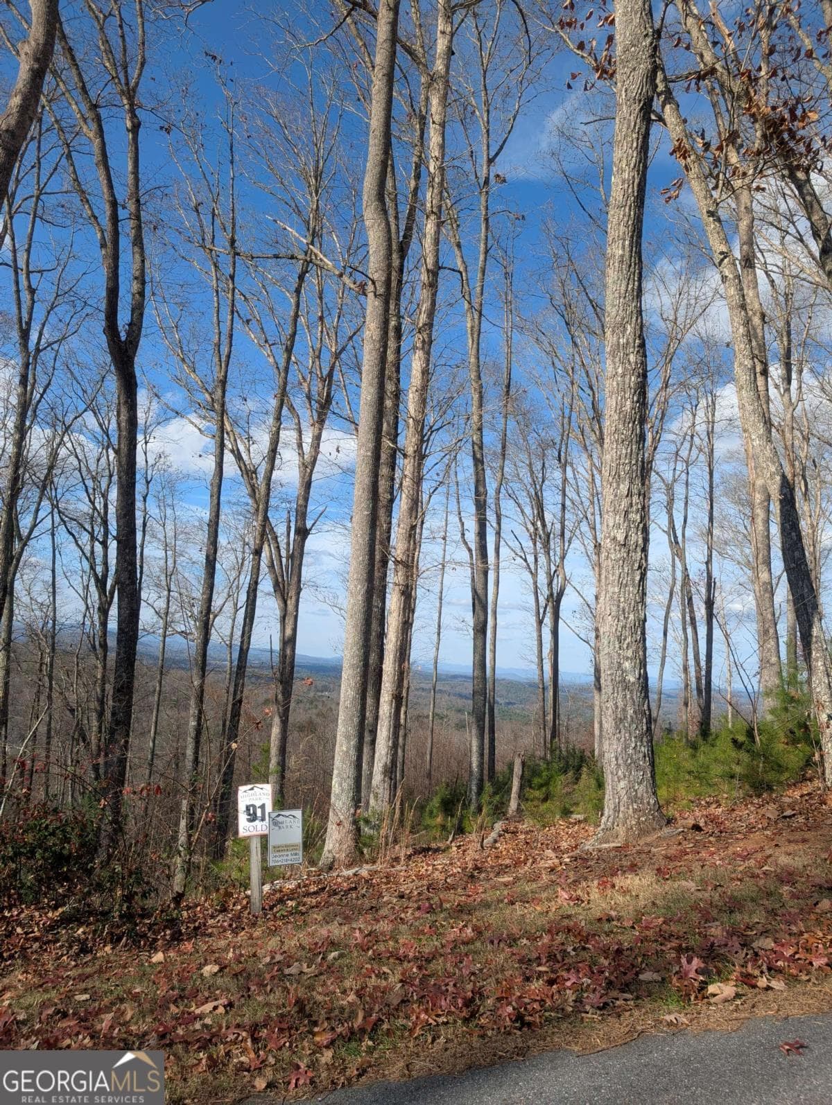 residential lot for sale at LOT 91 Winding Ridge, Blairsville, GA 30512 — photo 10