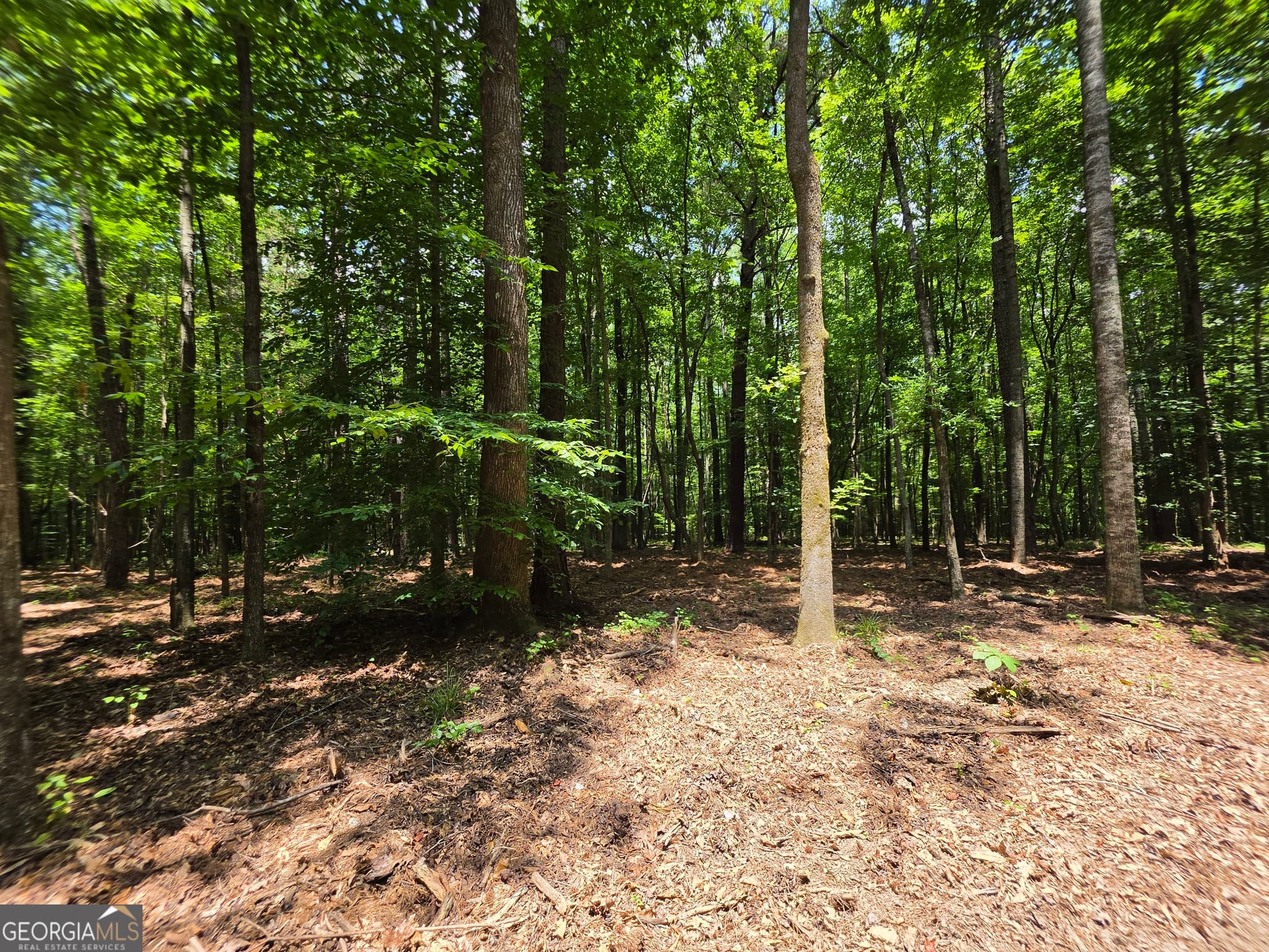 agriculture for sale at 0 Court Ground, Washington, GA 30673 — photo 6